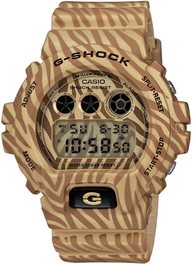 Часы CASIO G-SHOCK DW-6900ZB-9ER