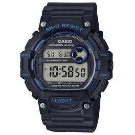 Часы CASIO TRT-110H-2AVEF